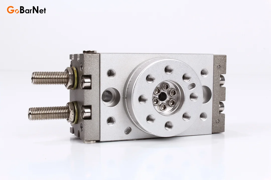 MSQB-10-A-S Rotary Silindir
