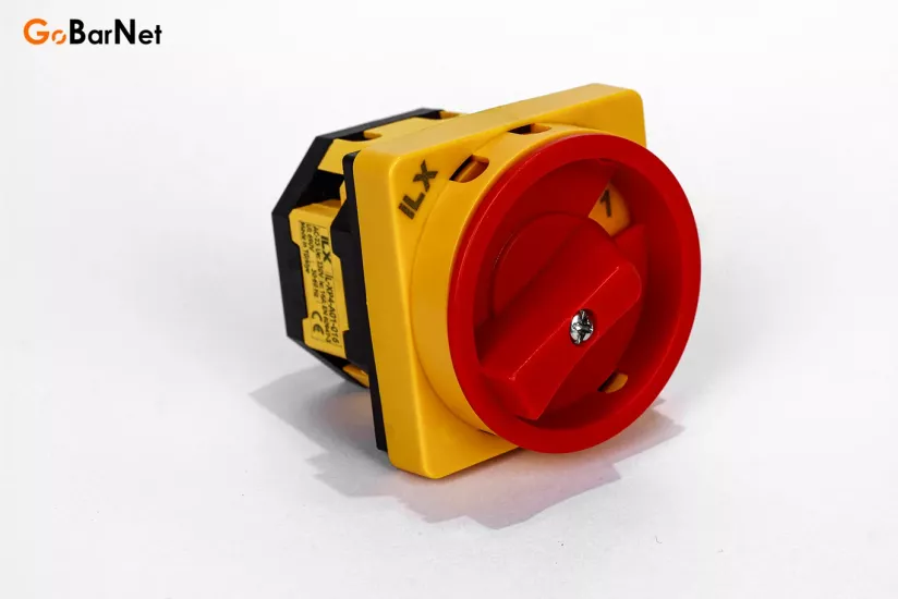 Kilitlenebilir 2 Kutuplu Aç Kapa Pako Şalter